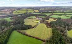 The Forestry Market