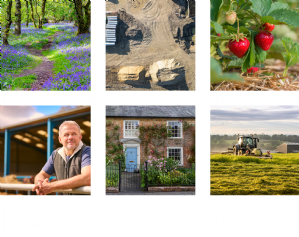 Rural market updates