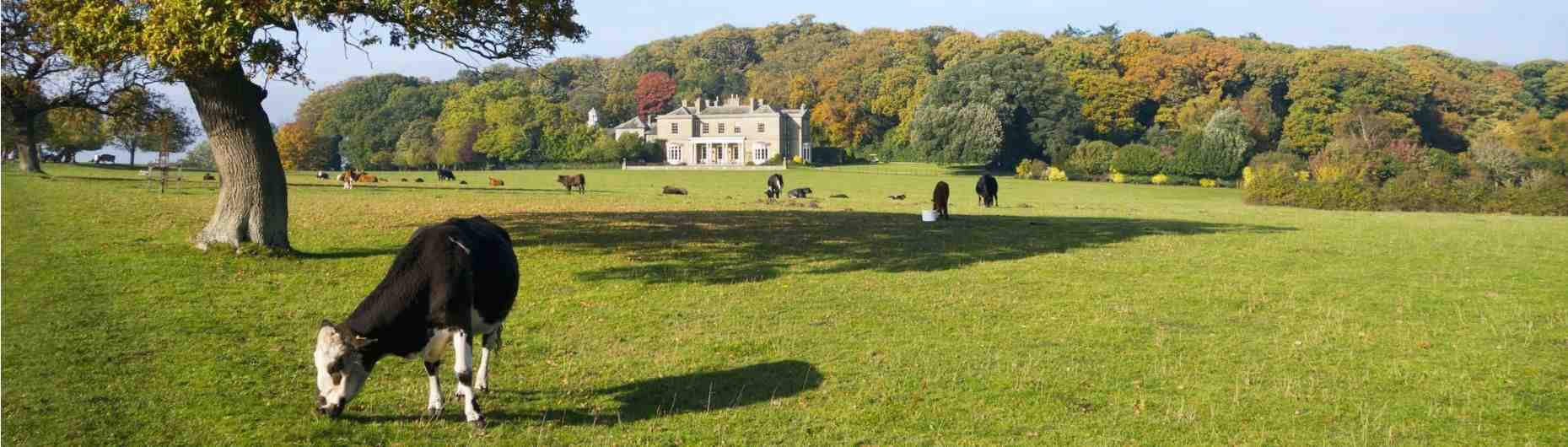 Savills Buying or Selling and Estate
