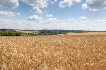 Central England Farmland Review