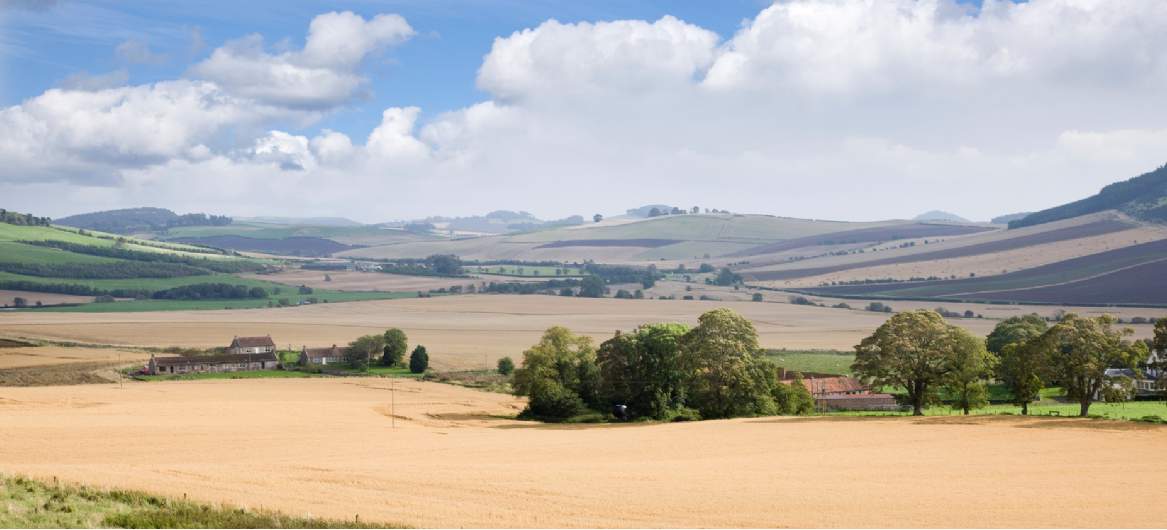 Rural Soundbytes Rural Soundbytes