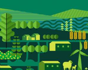 Rural market updates