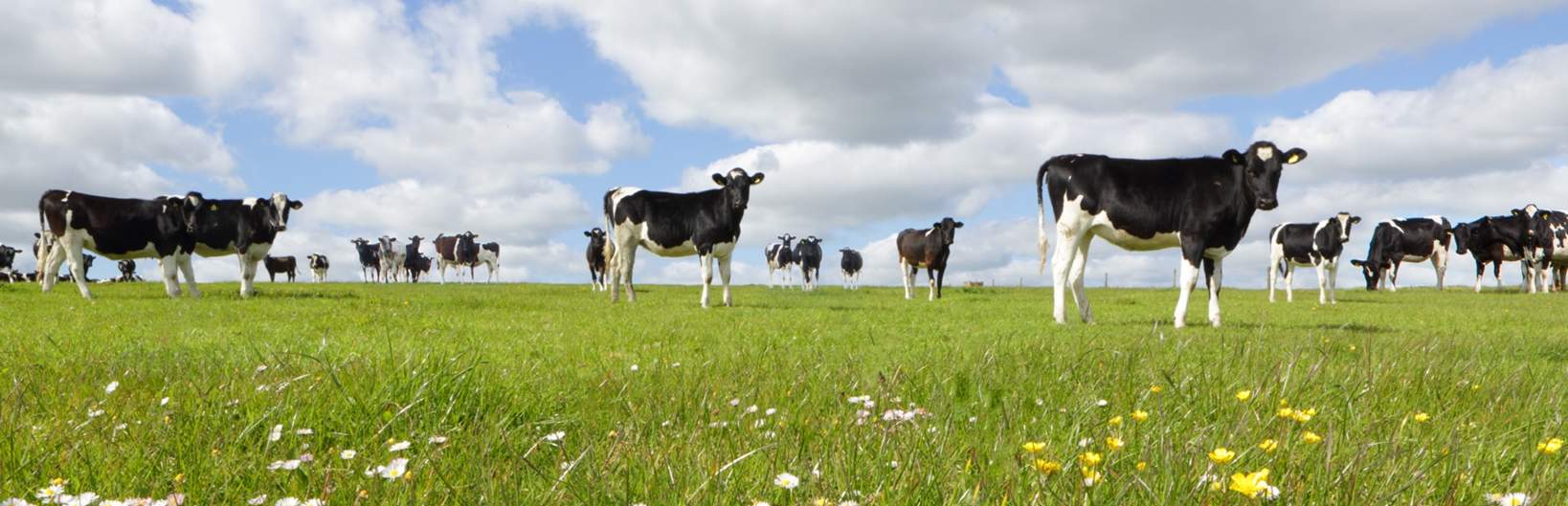 Dairy Food and Farming Update
