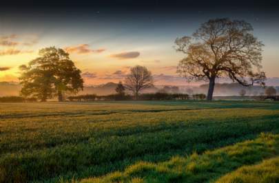East Anglia Farmland Review East Anglia Farmland Review