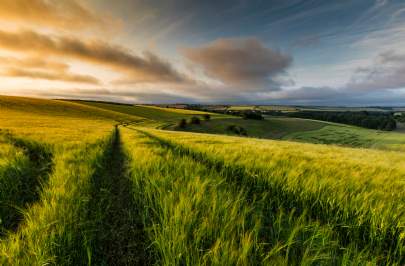 East Anglia Farmland Review