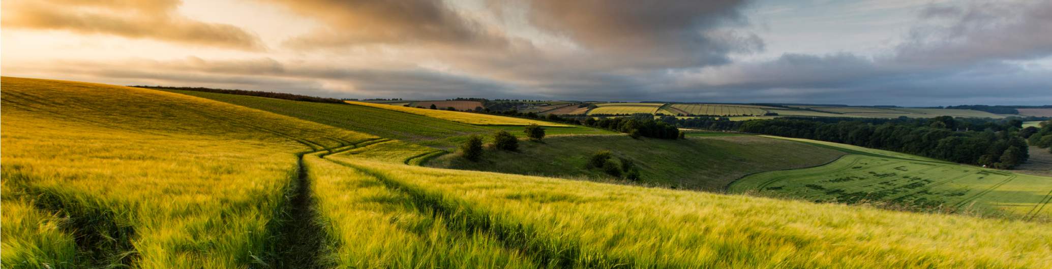 East Anglia East Anglia