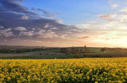 East Midlands Farmland Review