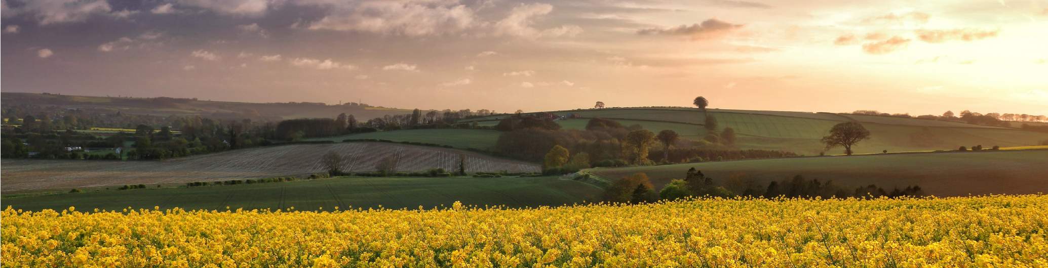 East Midlands