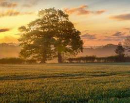 East of England Rural