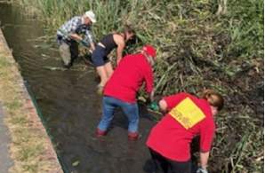 Harnham Water Meadows Trust