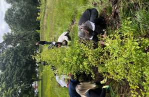 Community tree planting