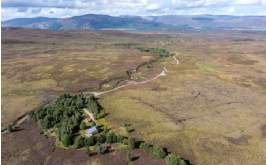 The Forestry Market
