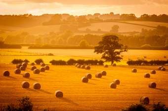 England
