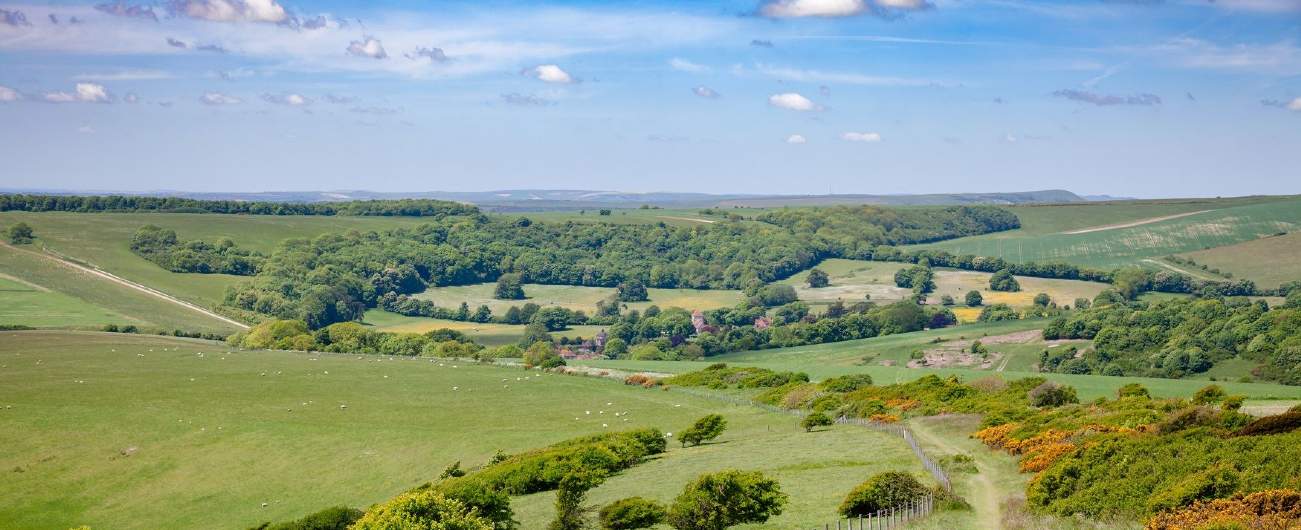 Rural land values