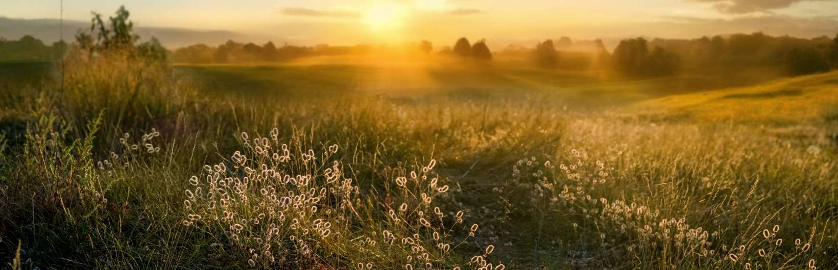 Farms and Estates Portfolio 2024 Farms and Estates Portfolio 2024