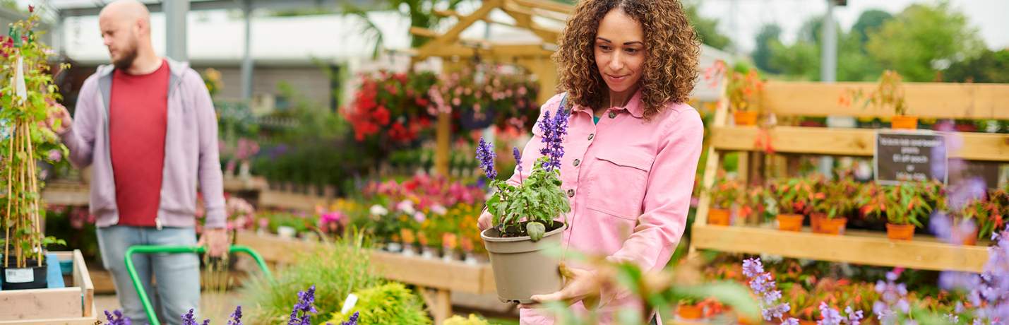 Holiday Parks - A Hot Market