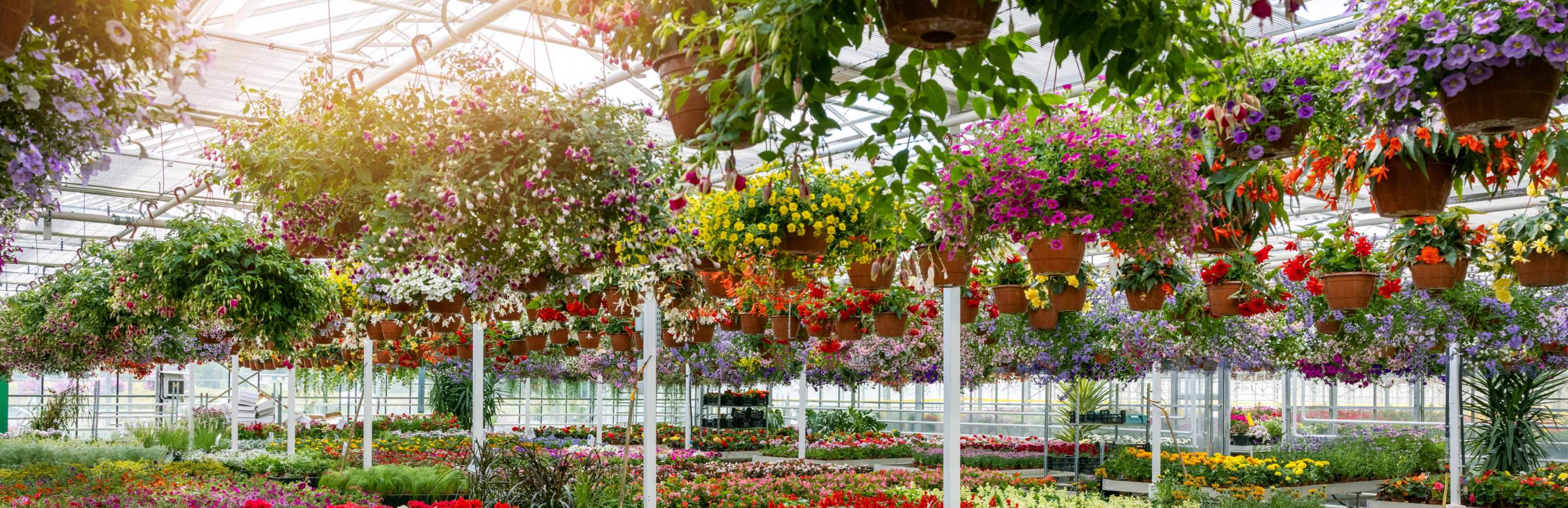 Aspects of Leisure & Trading S/S 25 - Garden centres Aspects of Leisure & Trading S/S 25 - Garden centres