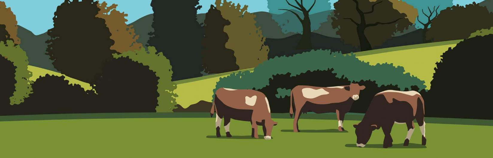 Rural Soundbytes