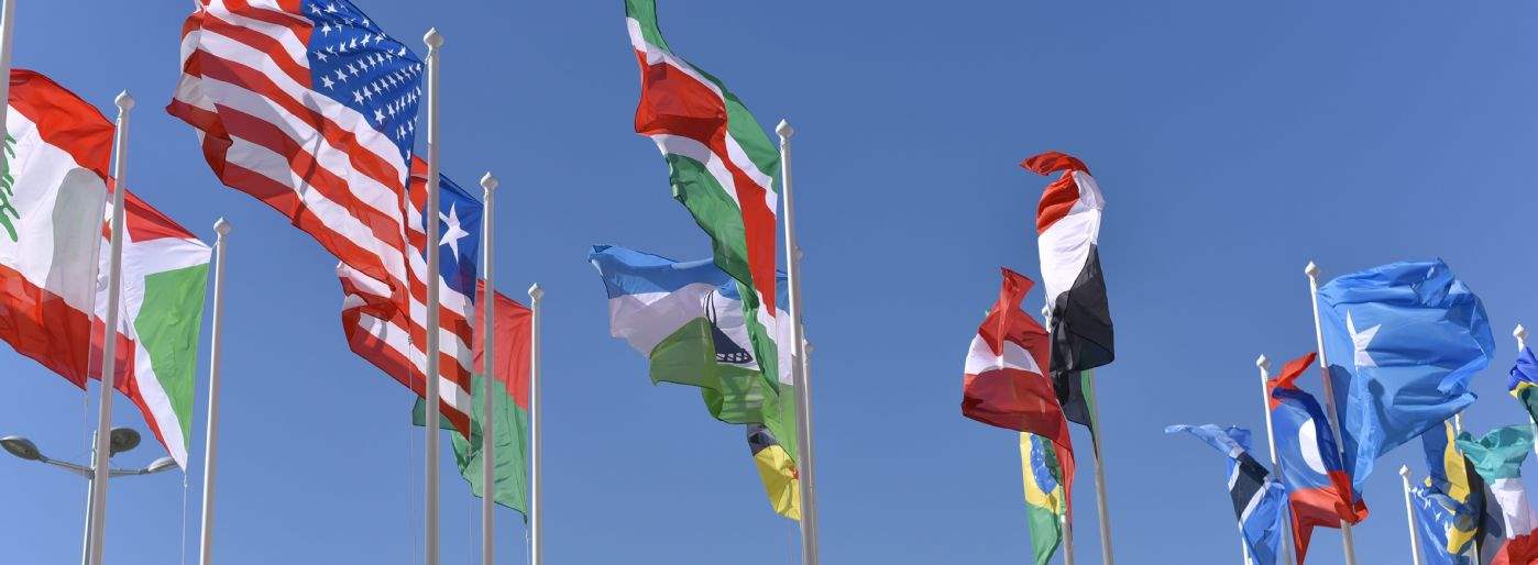 Global Investor Sentiment