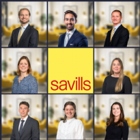 Meet the Team