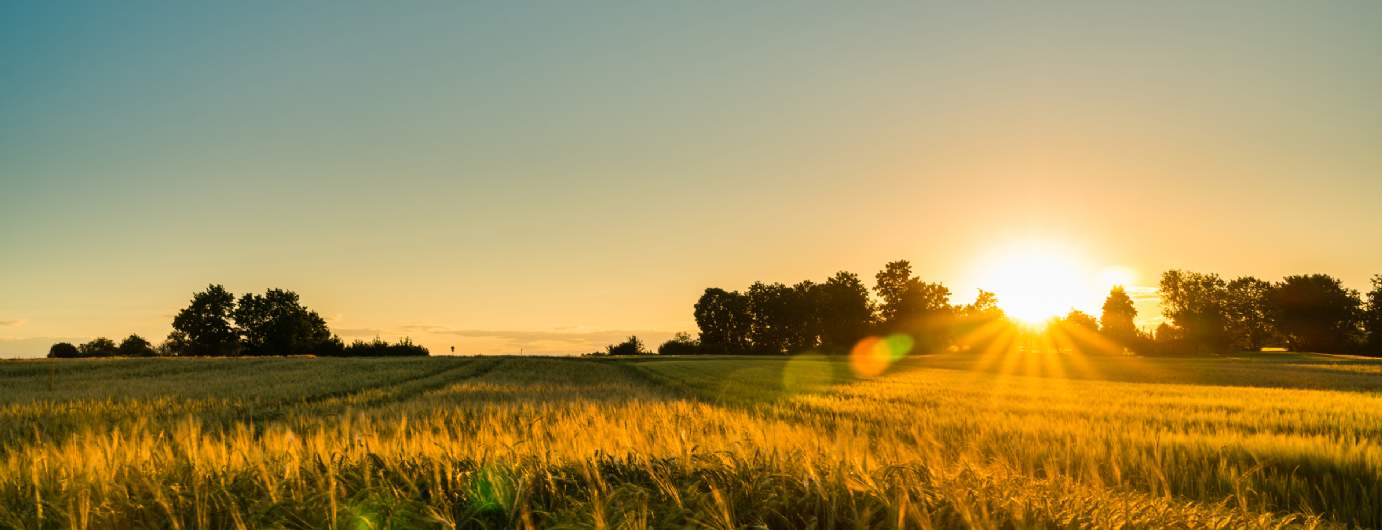 Farmland Farmland