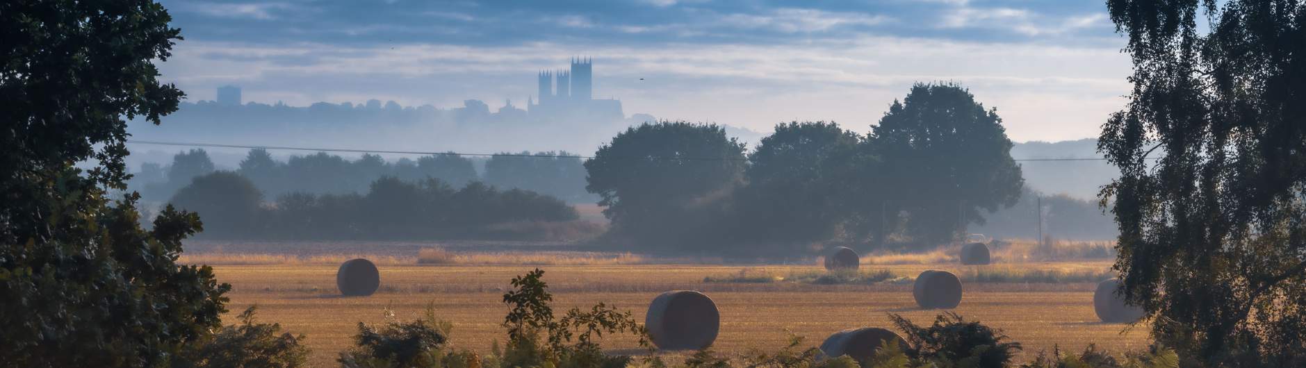 Savills Lincoln Savills Lincoln