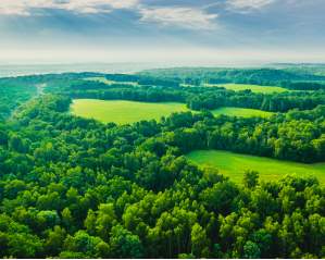Real Estate Insights: Savills Earth Podcast Series
