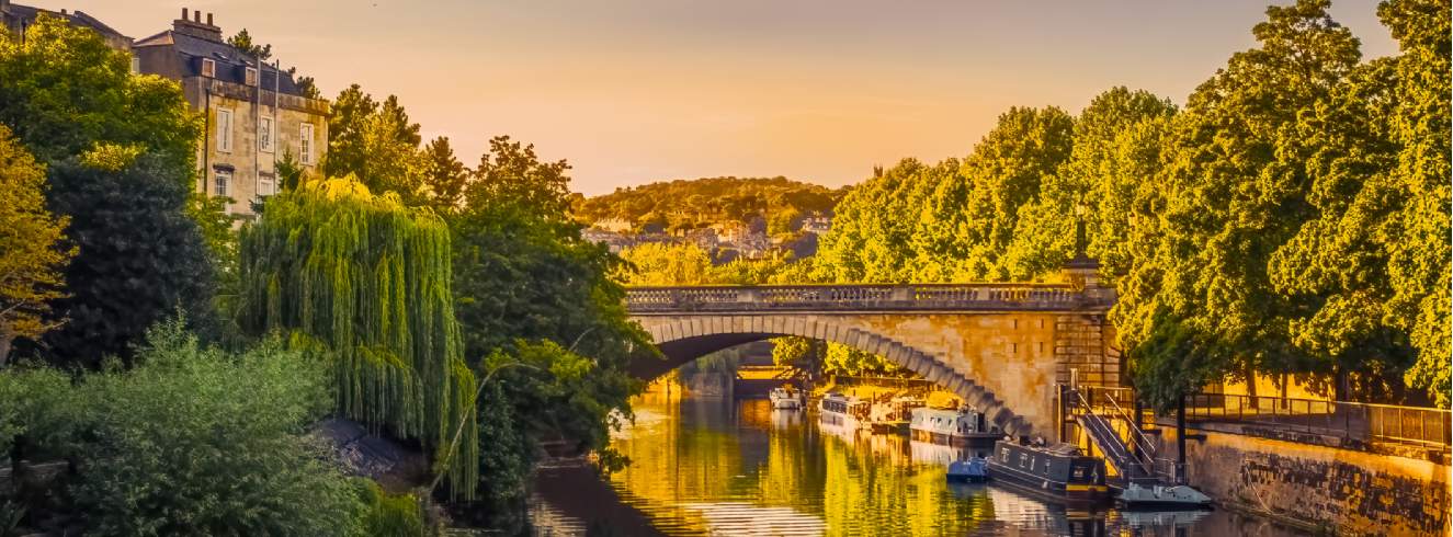 Local Property Insights
