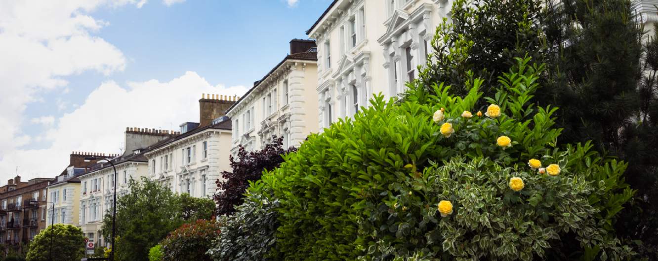 Savills Belsize Park Savills Belsize Park