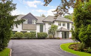 Juniper Hill