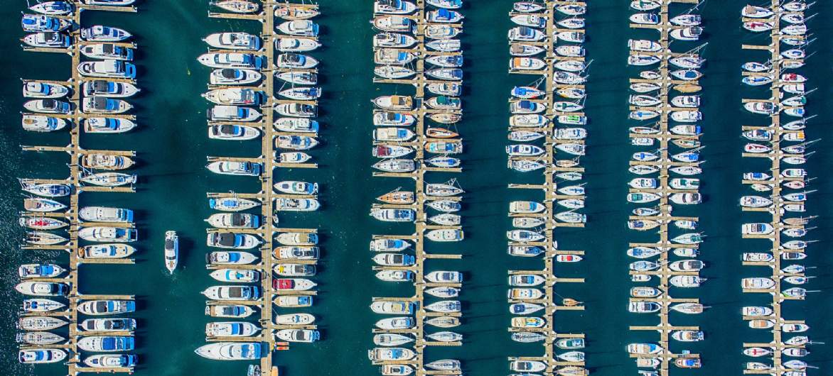 Savills Marine Savills Marine