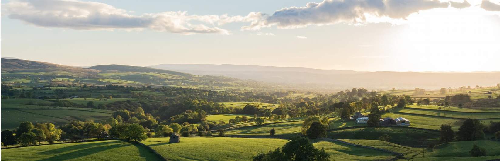 The Savills Portfolio