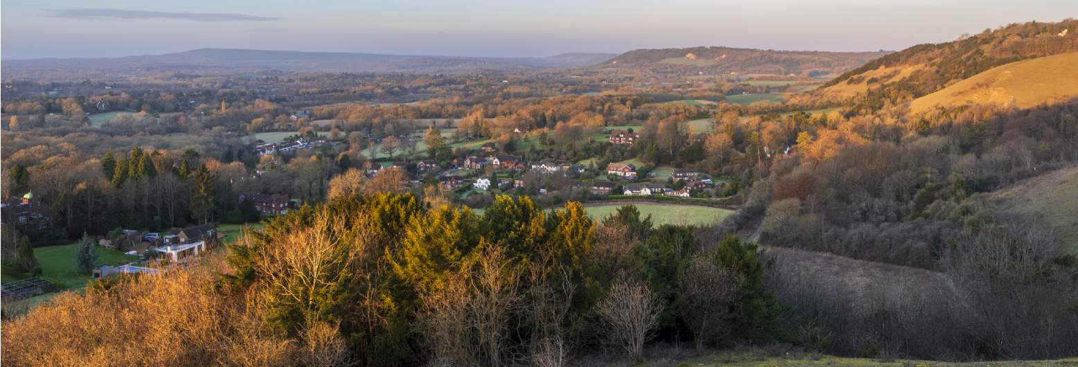 Reigate Reigate