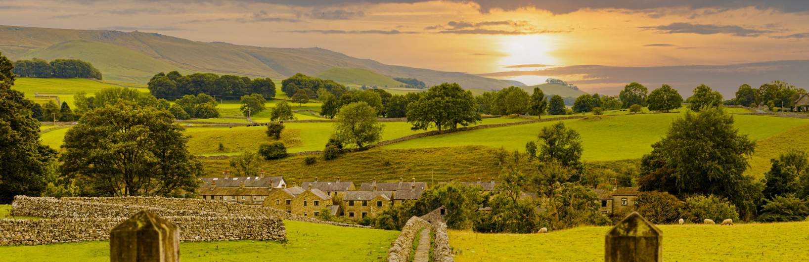 Savills Rural
