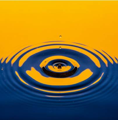Savills Earth