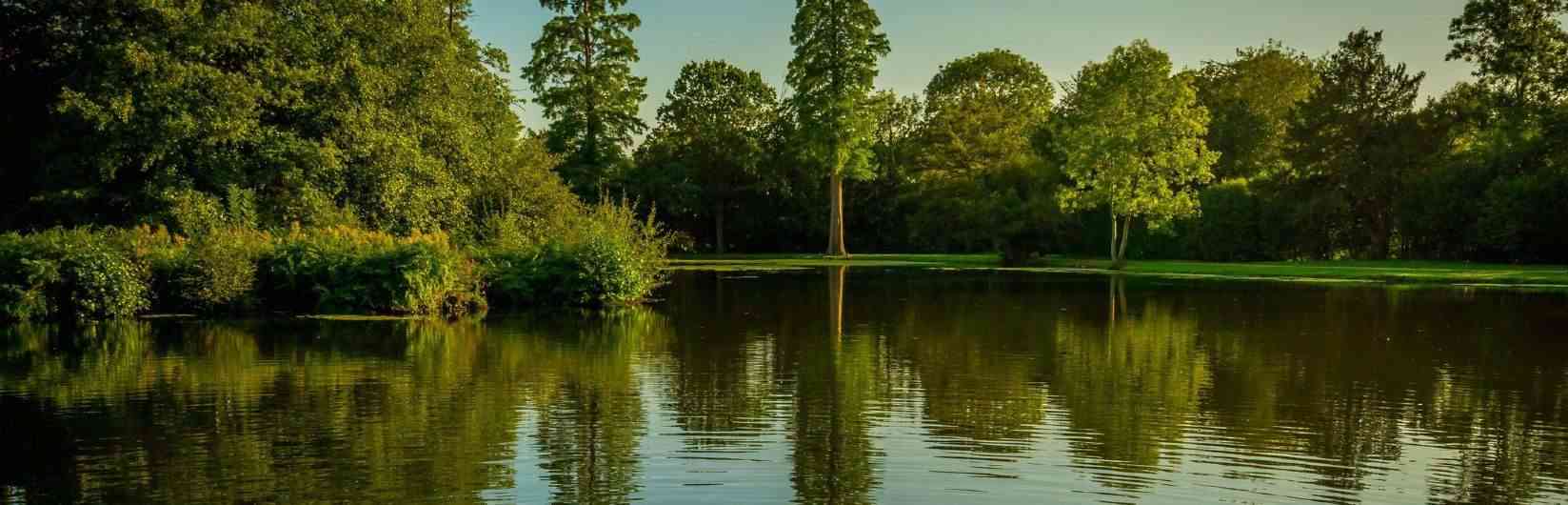 Savills Oxshott