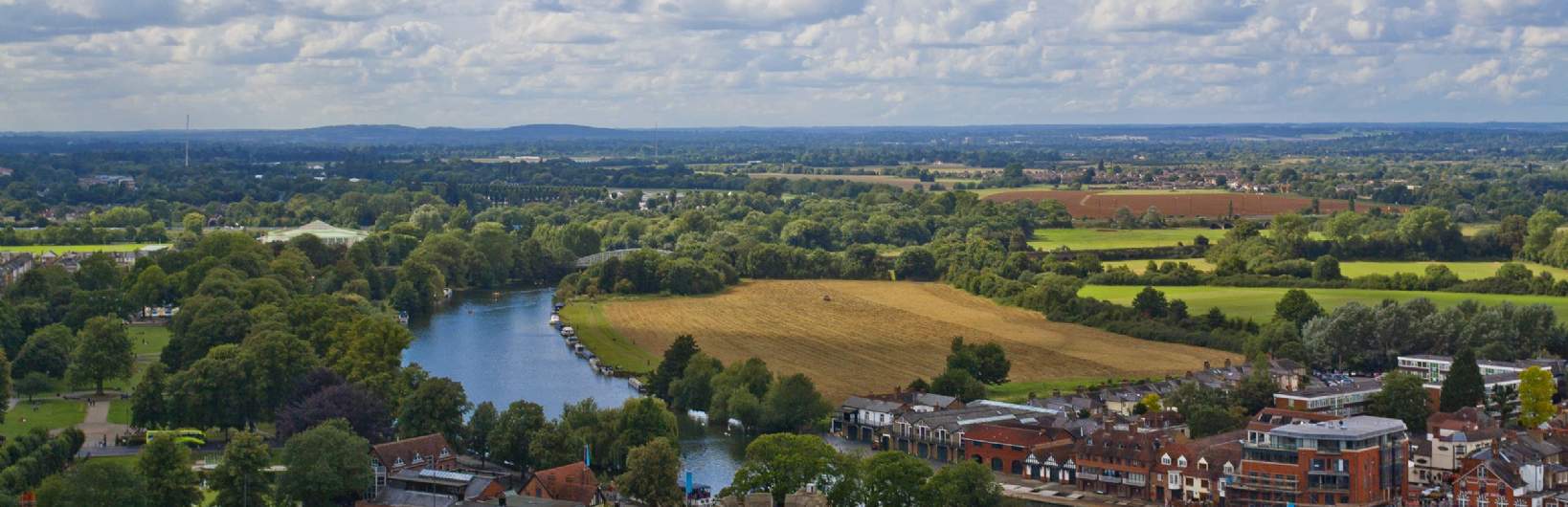 Savills Sunningdale