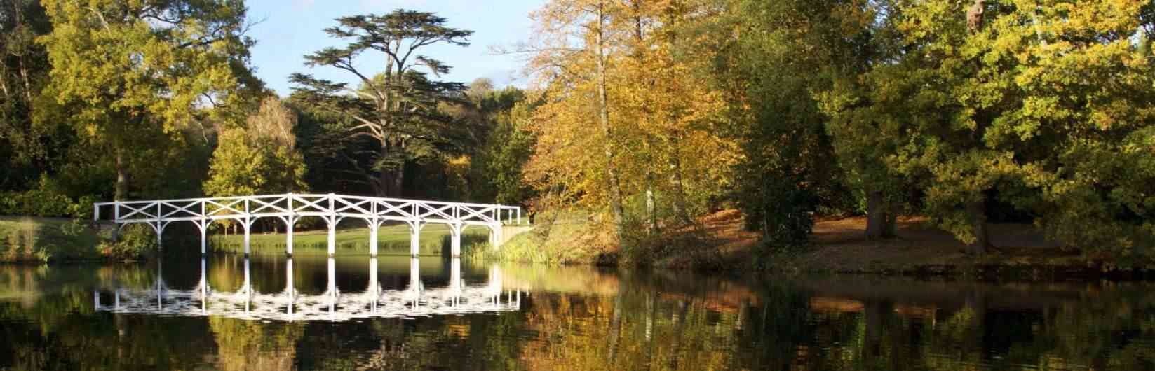 Savills Surrey Savills Surrey