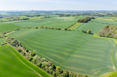 Scottish Farmland Review