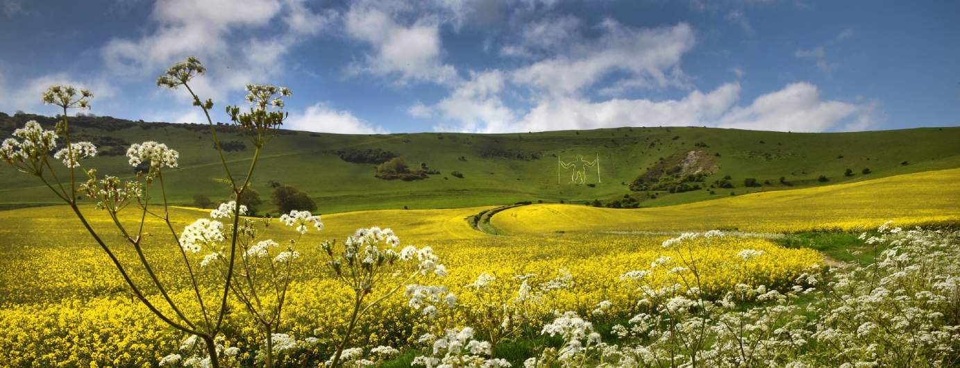 Savills South East England Savills South East England