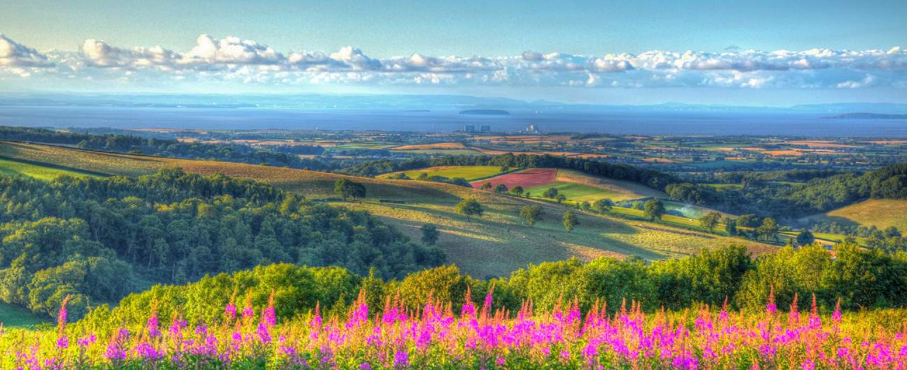 Savills South West England Savills South West England