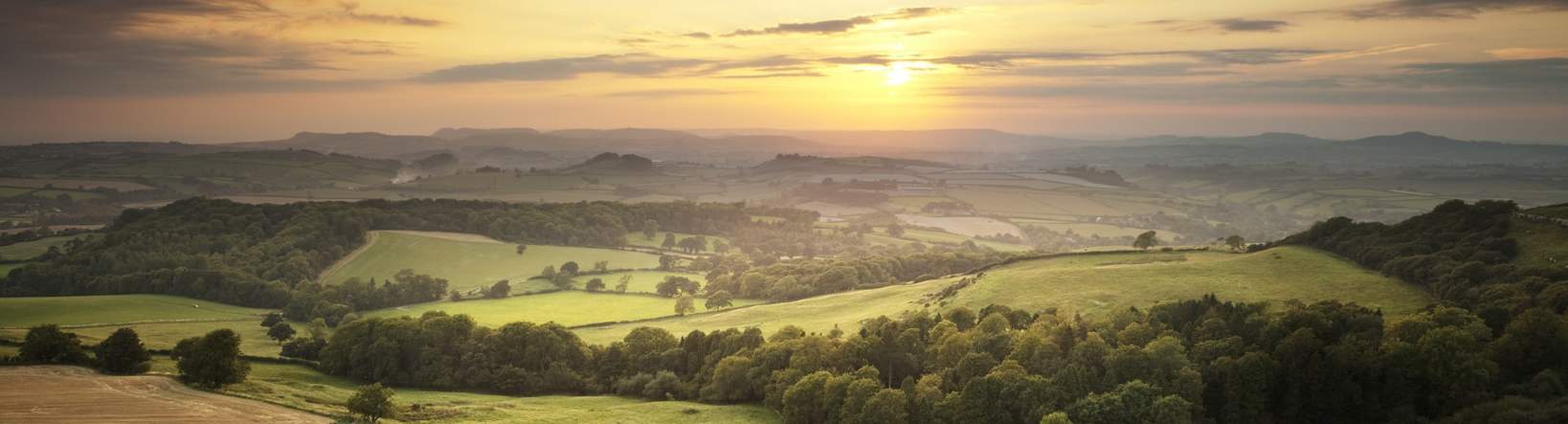 Topical Issues Food and Farming Update