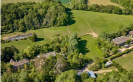 The Forestry Market