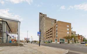 Bloom