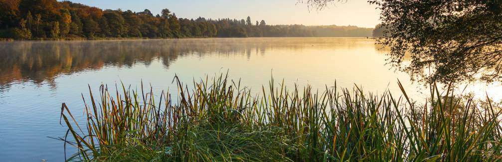 Savills Virginia Water Savills Virginia Water