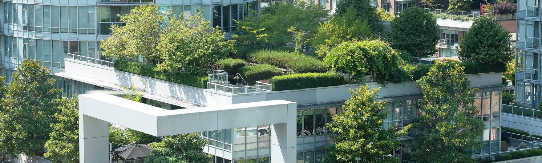 Webinar: Biodiversity Net Gain – The Impact of New Guidance