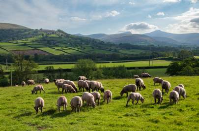 West Midlands Farmland Review