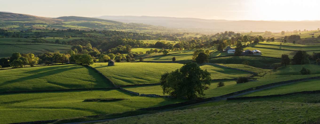 The Savills Portfolio
